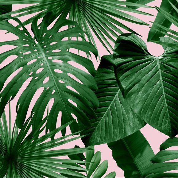 Meet your Posher, G LUV - Picture 1 of 1